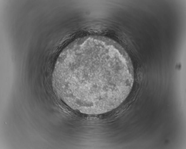 X0000114681297200911181221