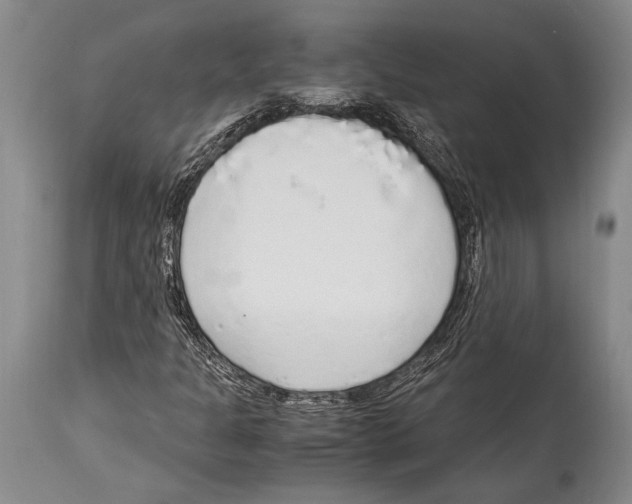 X0000114681301200911181221