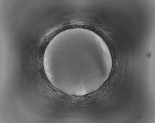 X0000114681303200911181221