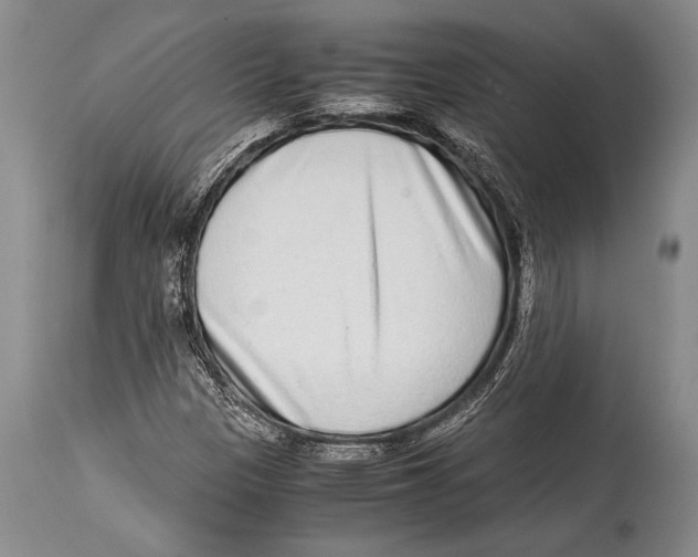 X0000114681305200911181221