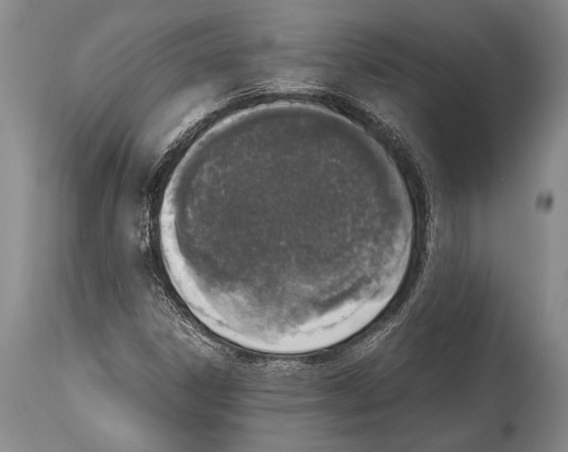 X0000114681306200911181221