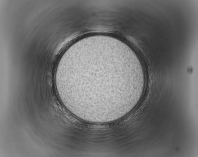 X0000114681307200911181221