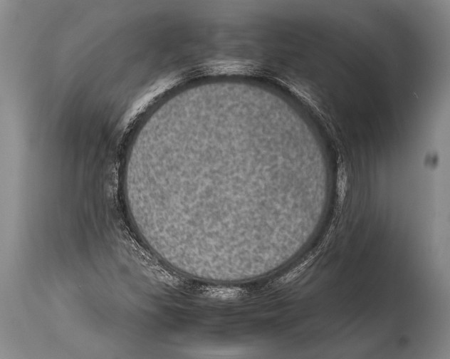 X0000114681309200911181221