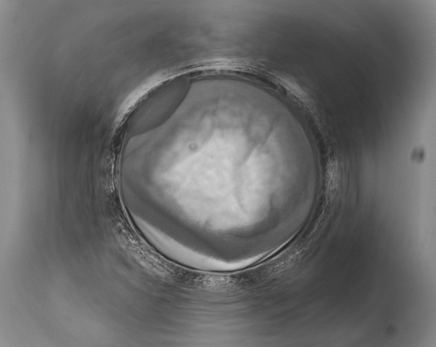 X0000114681310200911181221