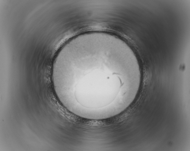 X0000114681314200911181221