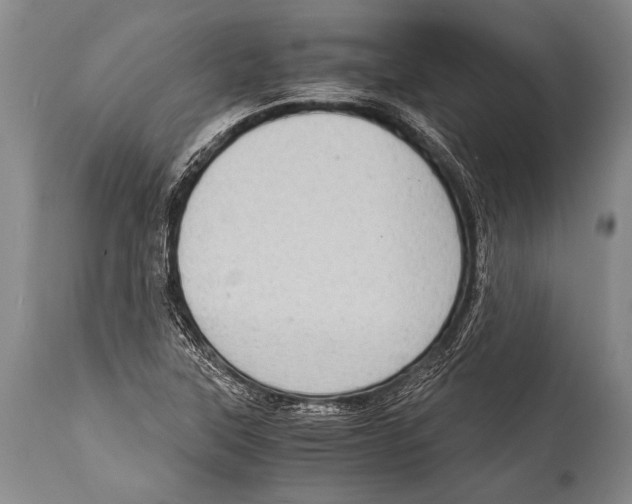 X0000114681315200911181221