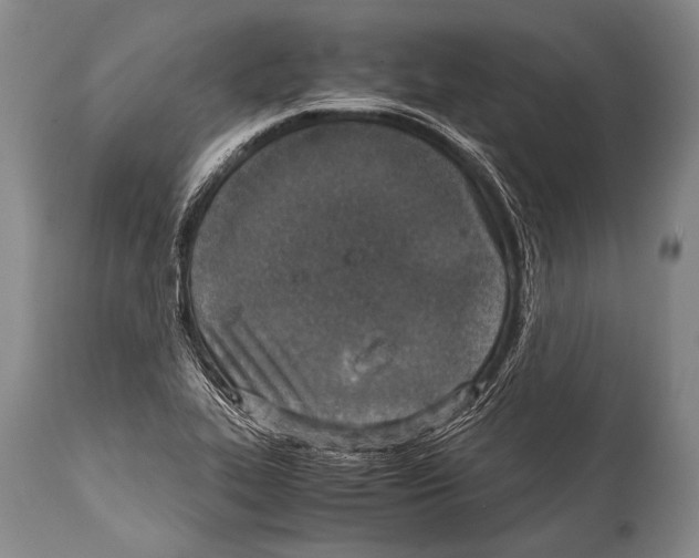 X0000114681319200911181221