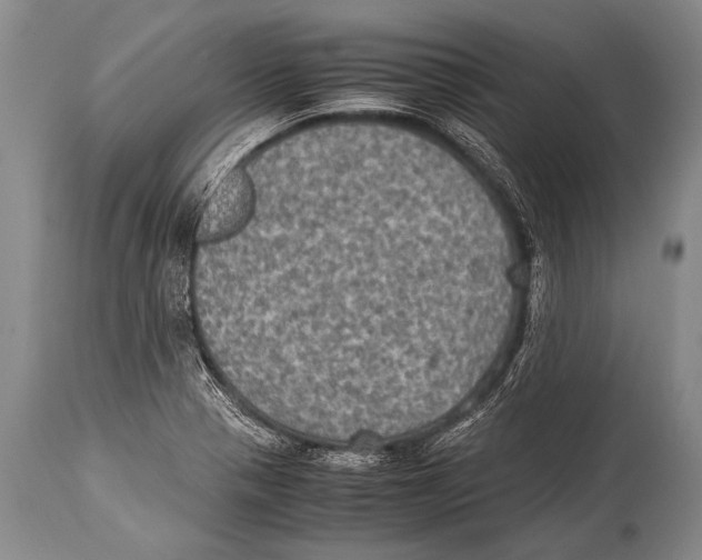 X0000114681321200911181222