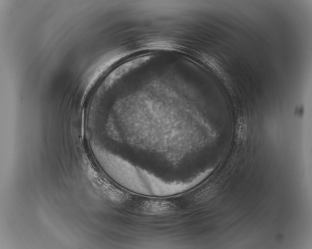 X0000114681323200911181222