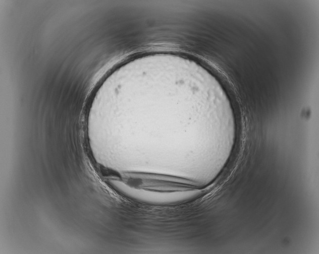 X0000114681325200911181222
