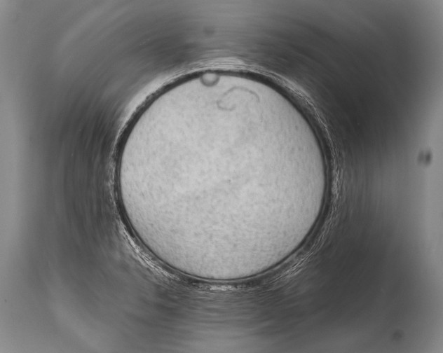 X0000114681326200911181222