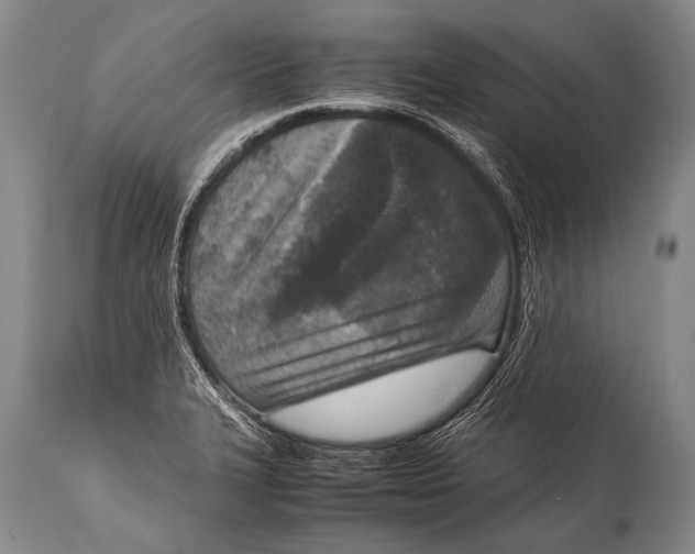 X0000114681327200911181222
