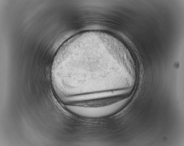 X0000114681329200911181222