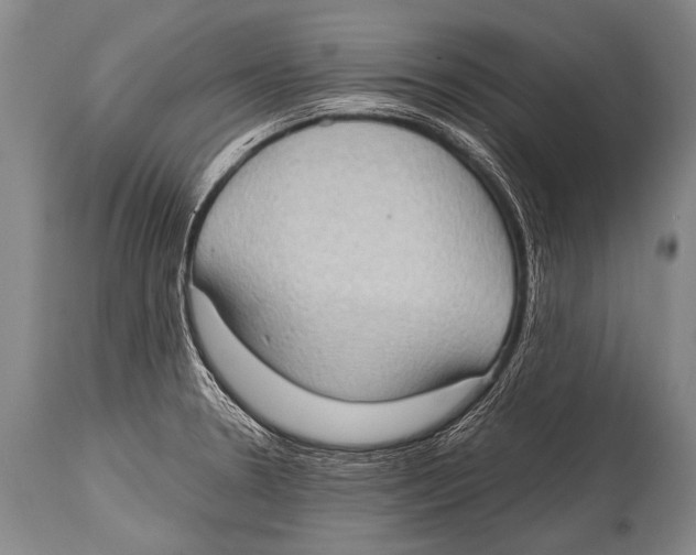 X0000114681330200911181222