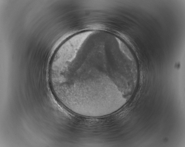 X0000114681331200911181222