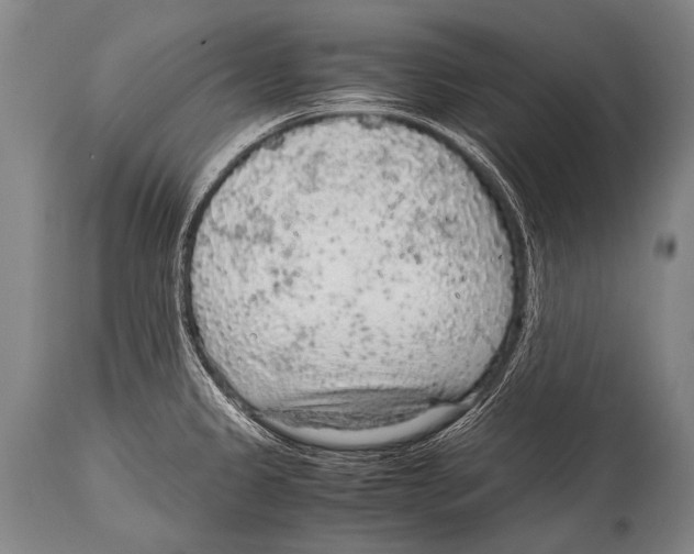 X0000114681333200911181222