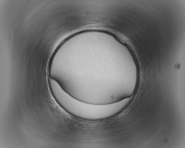 X0000114681334200911181222