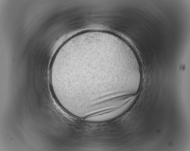 X0000114681335200911181222