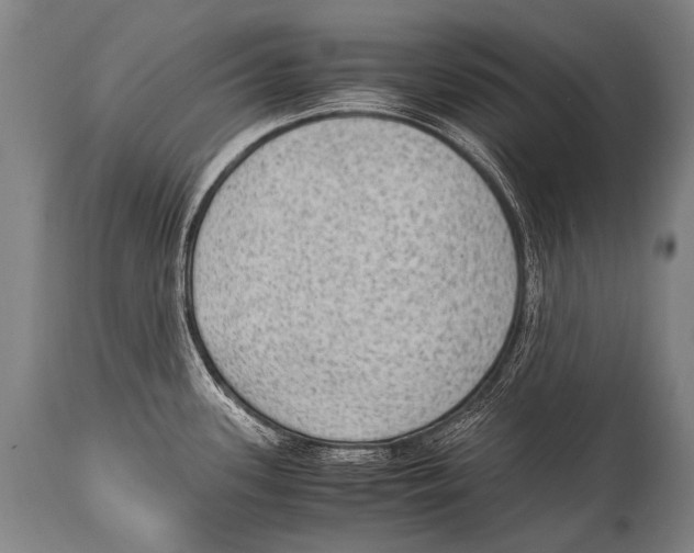X0000114681339200911181222