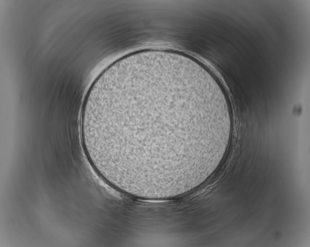 X0000114681343200911181222