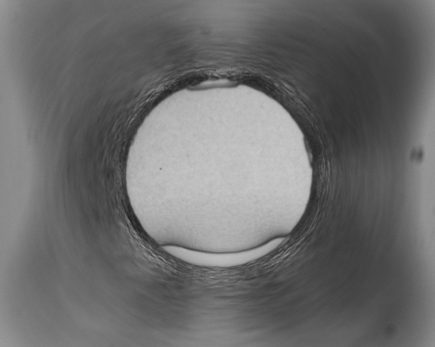 X0000114681345200911181221