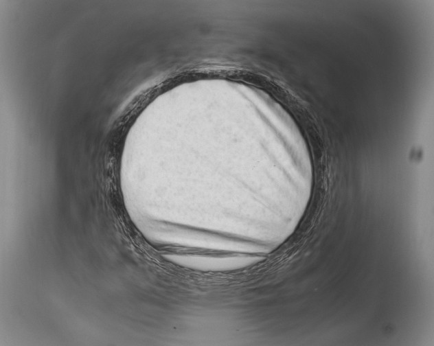 X0000114681351200911181221