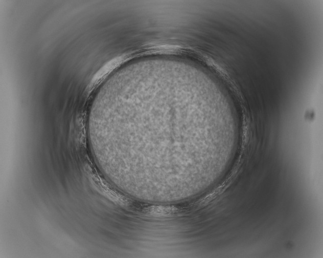 X0000114681354200911181221