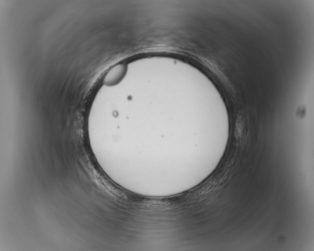 X0000114681356200911181221