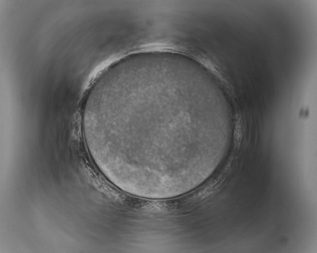 X0000114681358200911181221