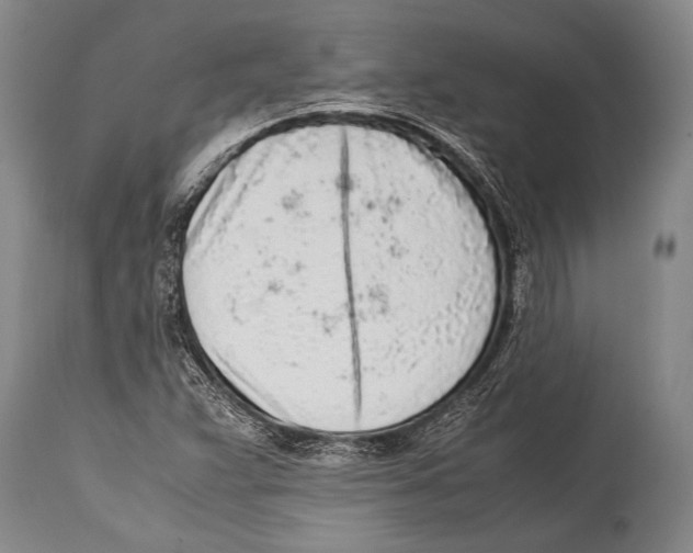 X0000114681359200911181221