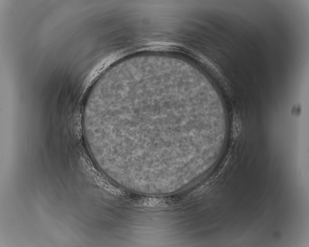 X0000114681362200911181221