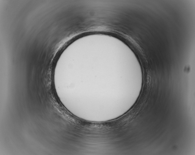 X0000114681364200911181221