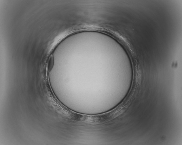 X0000114681365200911181221