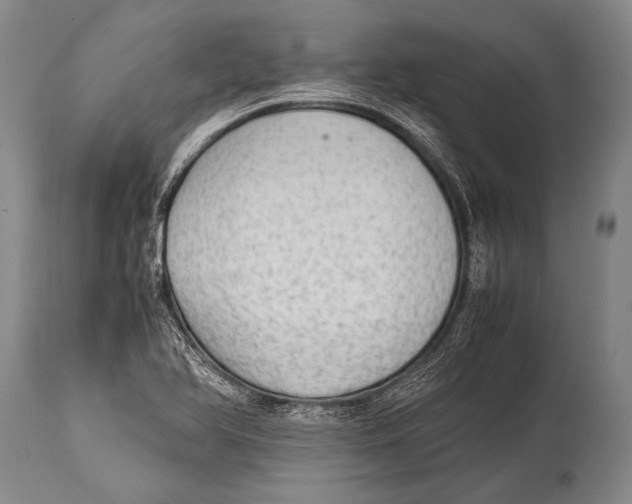 X0000114681366200911181221