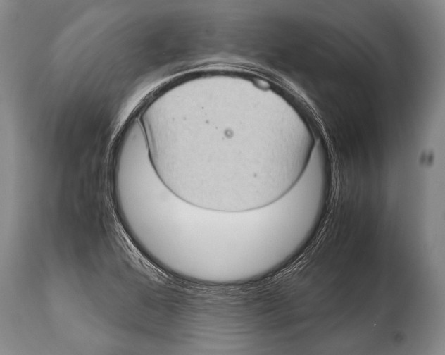 X0000114681368200911181221