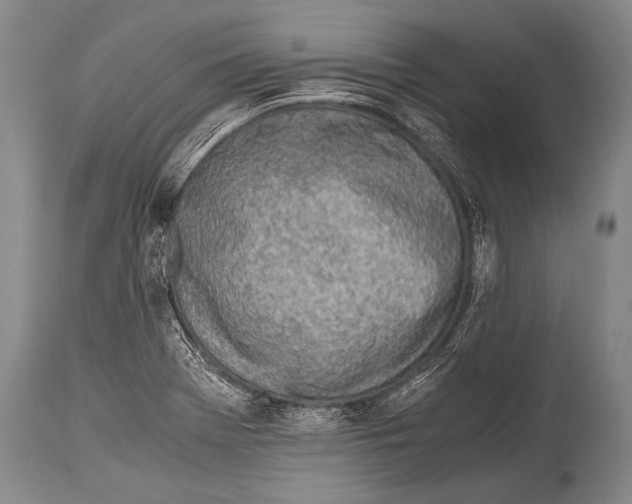 X0000114681369200911181221