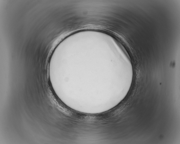 X0000114681371200911181221
