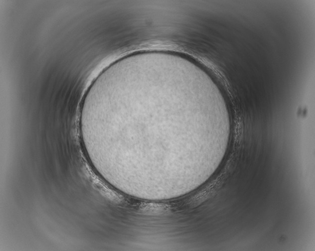 X0000114681374200911181221