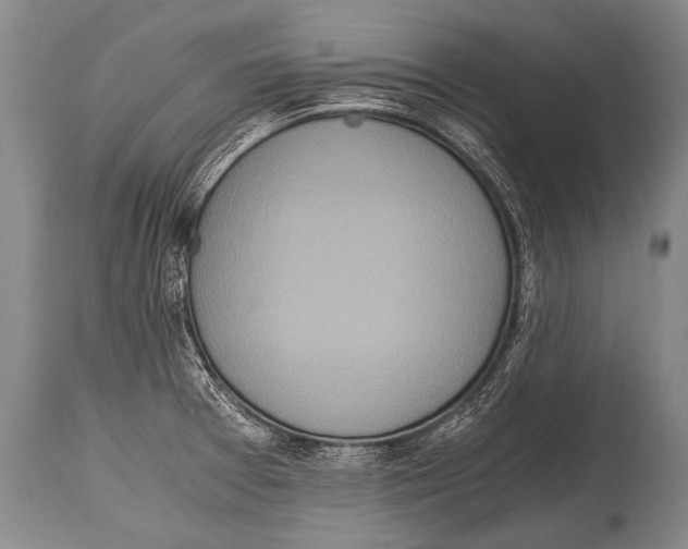 X0000114681377200911181221