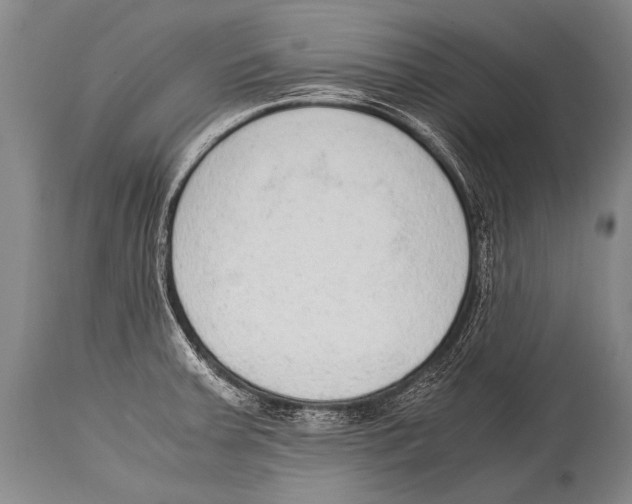 X0000114681379200911181221