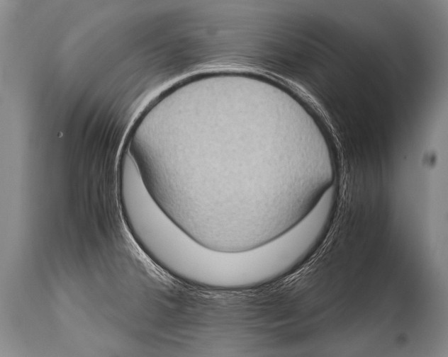 X0000114681380200911181220