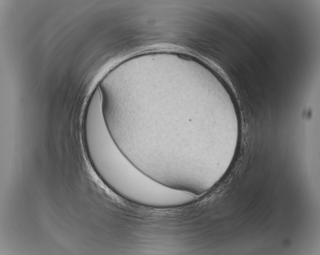 X0000114681381200911181220