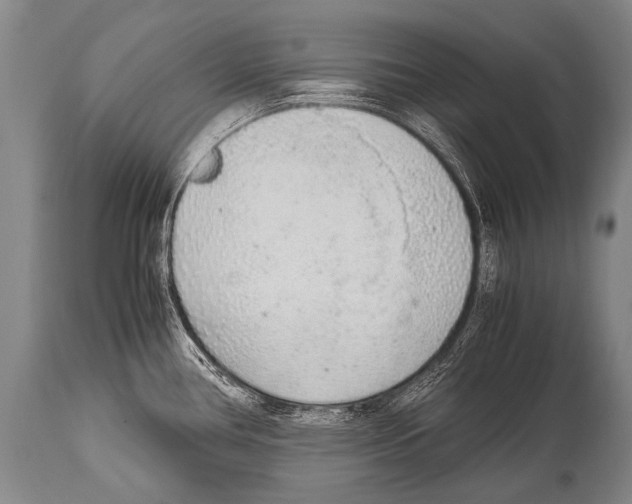 X0000114681386200911181220
