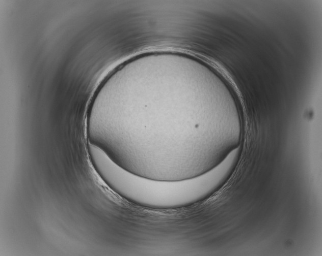 X0000114681388200911181220