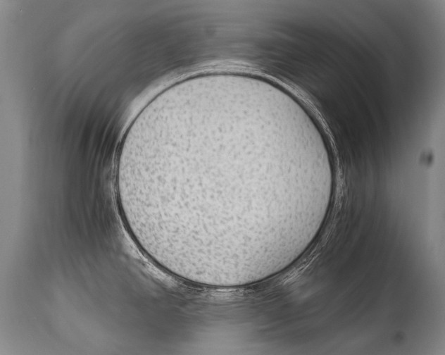 X0000114681390200911181220