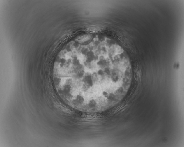 X0000114681393200911181220