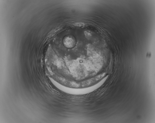 X0000114681394200911181220