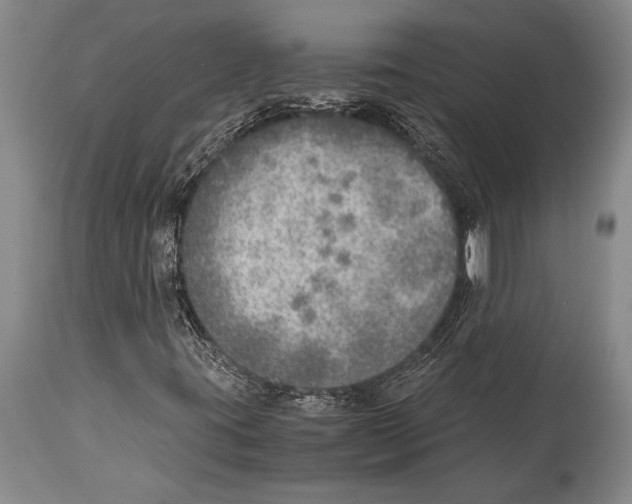 X0000114681395200911181220