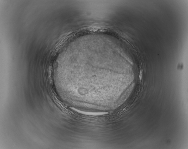 X0000114681396200911181220