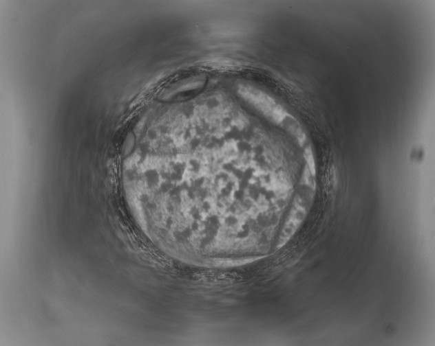 X0000114681397200911181220